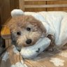 たっ's profile picture