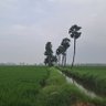 telugu tidbits 的头像