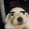 Crypty profil fotoğrafı