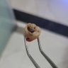Фото профиля Dr Randhawa
