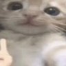 Profilbild von ayyyyyyyyyyyyy lmao