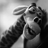 Emerlin Nieto's profile picture
