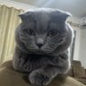 Фото профиля Ⲓ̈ⲁⲥⲥⲉⲣ | Ⲓ̈ⲥⲣ