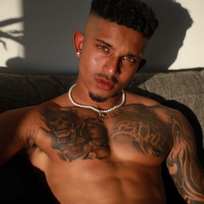 Persian 💰 King's profile picture