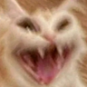 Profilbild von raidak