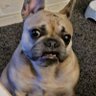 Casper's profile picture
