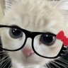 piepie profil fotoğrafı
