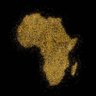 African Elixir's profile picture