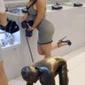 Hardcore Findom/Femdom 的头像