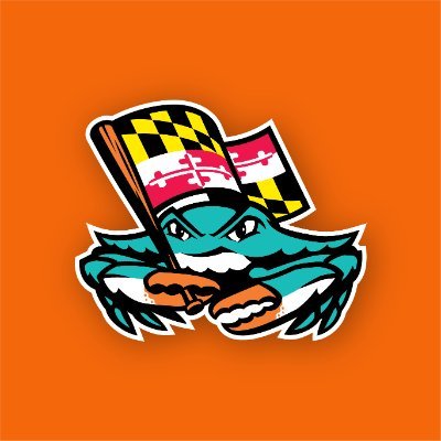 Chesapeake Baysox's profile picture