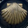 Thedrowningking's profile picture