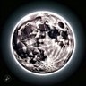 चंद्र 🌝's profile picture