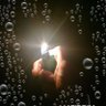 Profilbild von 眼镜蛇