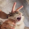 Profilbild von Lo