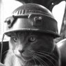 Katze 的头像