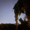 Teilzeitberater 的头像