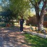 Omar Perez profil fotoğrafı