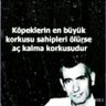 Yakupsgz's profile picture