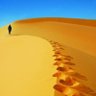 عبيد الله 的头像