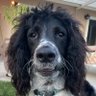 Kapu808808's profile picture