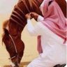 (الوائلي) profil fotoğrafı