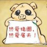 一只老母猪 的头像