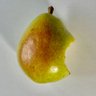 Profilbild von pear sama