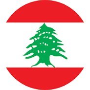 الضاحية الجنوبية 🇱🇧's profile picture