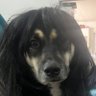Profilbild von 0xNinaTucker