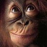 Yad Labu's profile picture