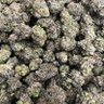 SOURCED BOTANICALS's profile picture
