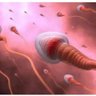 Фото профиля Abdiel Nelson