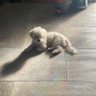 $ito profil fotoğrafı