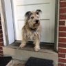 RePeteThatAgain's profile picture