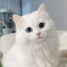 by!'s profile picture