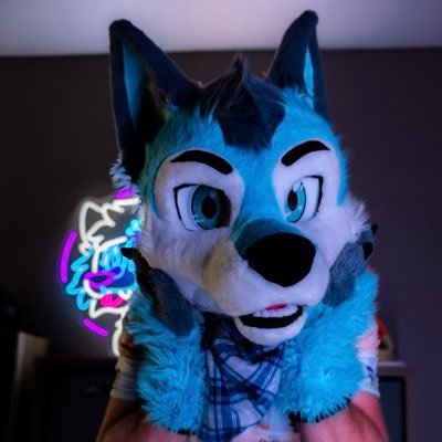 TyBluey's profile picture