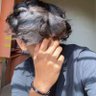 Profilbild von Sahansh Roy