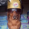 rufus profil fotoğrafı