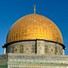 د. ماهر سالم 的头像