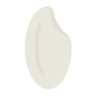 rice boy's profile picture