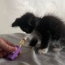 Solitaire profil fotoğrafı