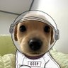 Profilbild von crypto man