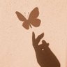 Butterfly🦋 的头像