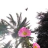 𝑺𝒂𝒎𝒊 profil fotoğrafı
