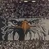 Profilbild von Sadece BJK