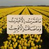 Фото профиля ✨ع