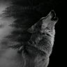 الصياد الاخير's profile picture