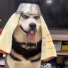 世界之大 杂碎也多 profil fotoğrafı