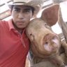 Snose1 profil fotoğrafı