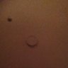 Profilbild von Qwert